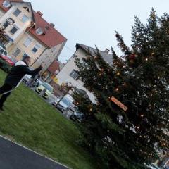 Blagoslov božično novoletnega drevesa 12